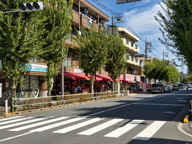高島平駅前交差点（複数レーン＋歩行者信号）